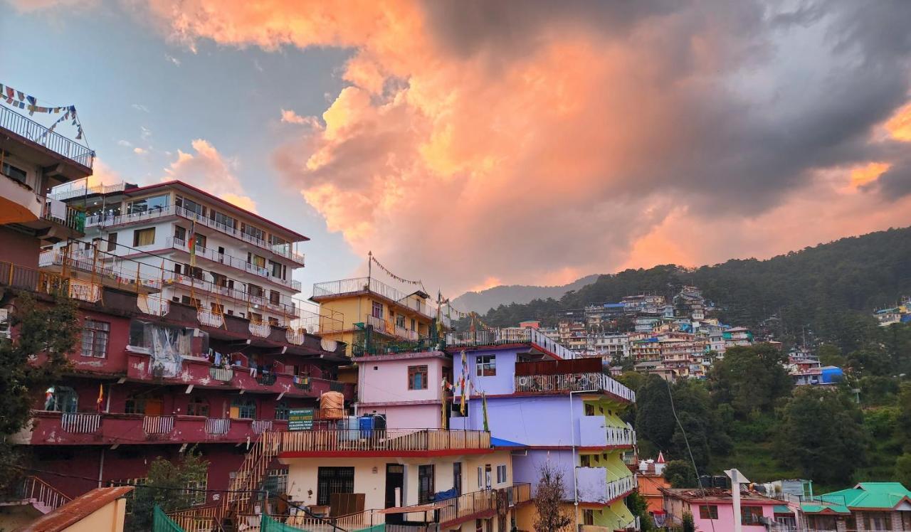 The Bougainvillea, Mcleodganj Dharamshala Exteriör bild